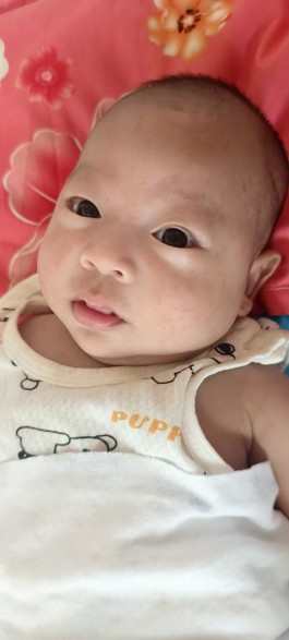 寻亲：宋佳辰