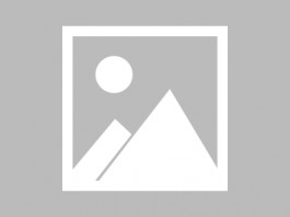 失踪人员：流浪人员寻亲