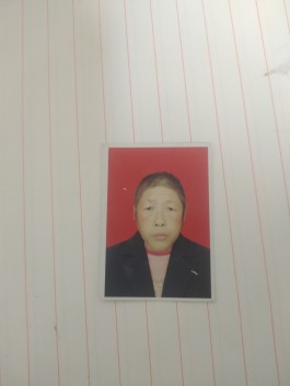 寻亲：张玉珍