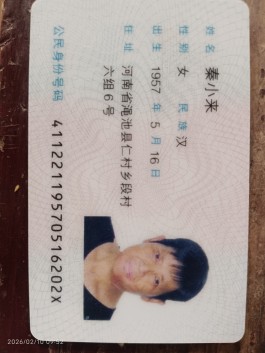 寻亲：秦小来